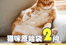 猫咪原始袋