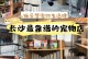 本溪靠谱的宠物店