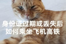 猫可以坐高铁吗