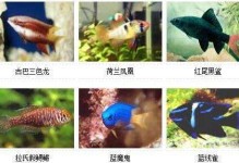 水族宠物大全-水族好养宠物