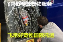 合肥市宠物长途托运-合肥宠物托运合肥宠物托运信息