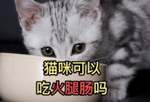 宠物猫能吃火腿肠吗-宠物猫可以吃火腿肠么