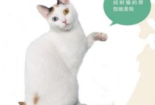 招财猫原型