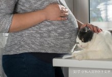 孕妇养宠物