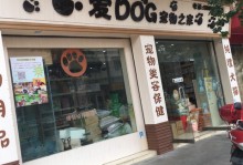 兰州的宠物店在哪里