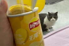 猫可以吃薯片吗-猫可以吃薯片吗青柠味