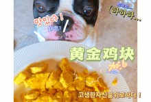 宠物食物自制