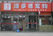 宠物连锁店排名-有名的宠物连锁店都有哪些