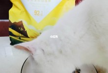 宠物猫一天吃多少猫粮-宠物猫一天吃多少猫粮最好