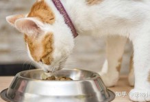 宠物猫拉稀了怎么办