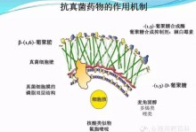 灰黄霉素宠物