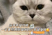 猫可以吃鸡骨头吗-猫吃了鸡骨头怎么补救