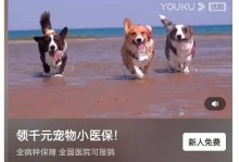 手狼宠物什么用