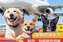 上海宠物物流托运-上海宠物怎么托运到外地