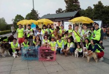 深圳哪里有宠物市场在哪里-深圳宠物市场在哪里几点关门