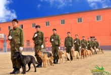 宠物训犬师学校