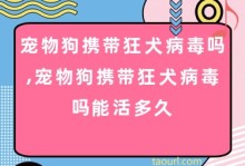 宠物狗狂犬病毒-宠物狗狂犬病毒可以检测出来吗