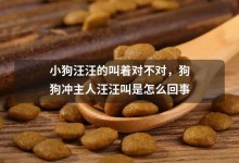 宠物狗能吃米饭吗-小宠物狗能吃米饭吗