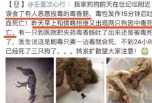 宠物狗中毒了-宠物狗中毒后会出现什么症状