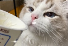 猫能喝酸奶吗-宠物猫能喝酸奶吗