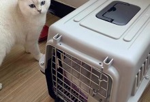 宠物猫如何航空托运