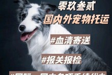 广西宠物托运