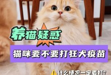 猫打什么疫苗-猫打什么疫苗多少钱