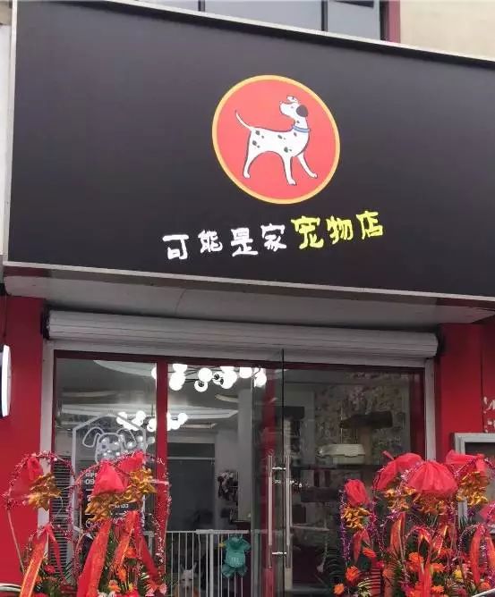 福州宠物美容店-福州宠物美容学校