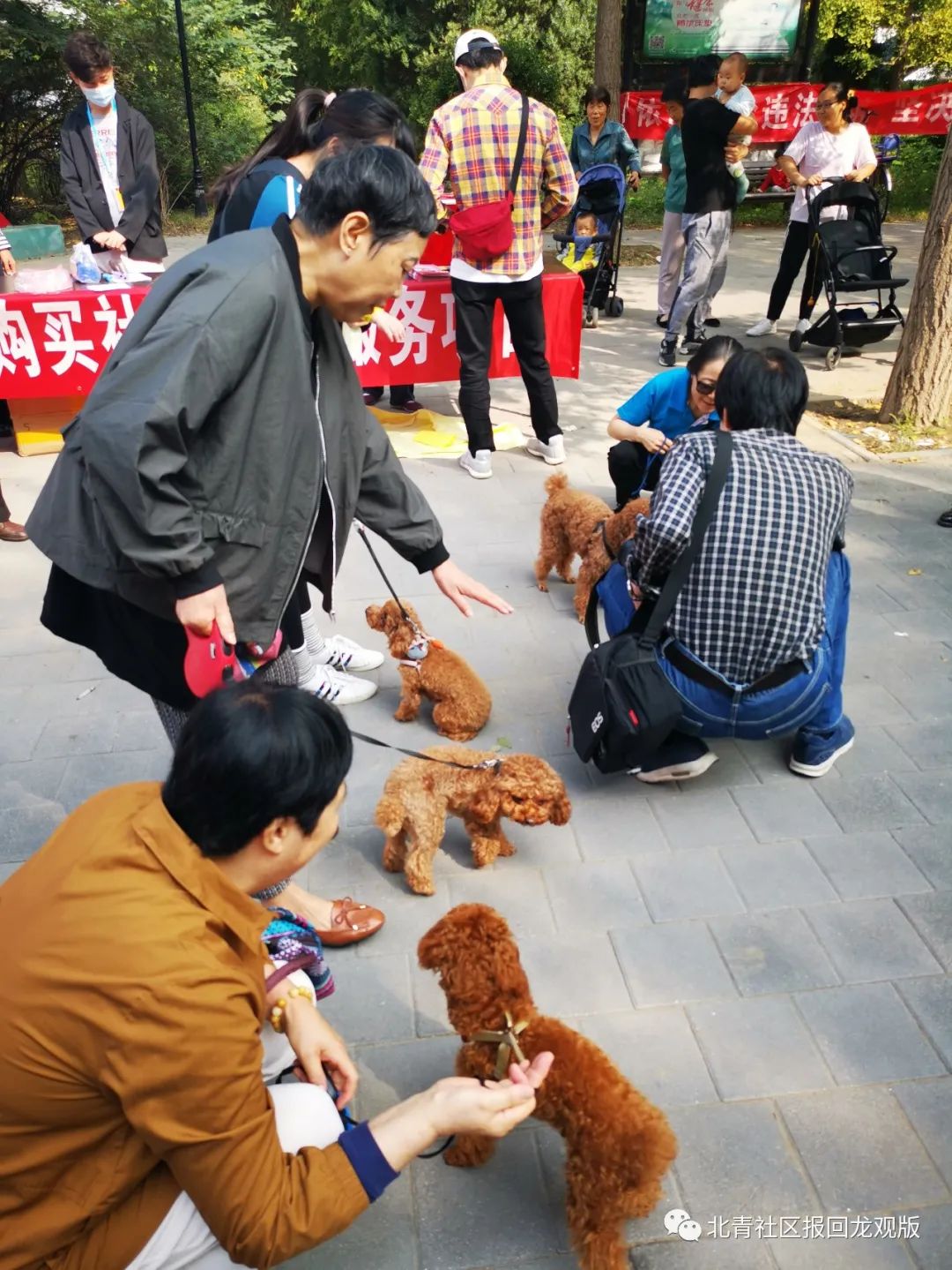 北京市昌平区宠物市场-北京市昌平区宠物市场电话