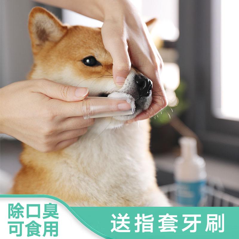 宠物刷牙器-宠物牙刷怎么用