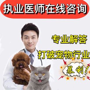 上海宠物医生培训学校-上海宠物医生培训学校哪家好