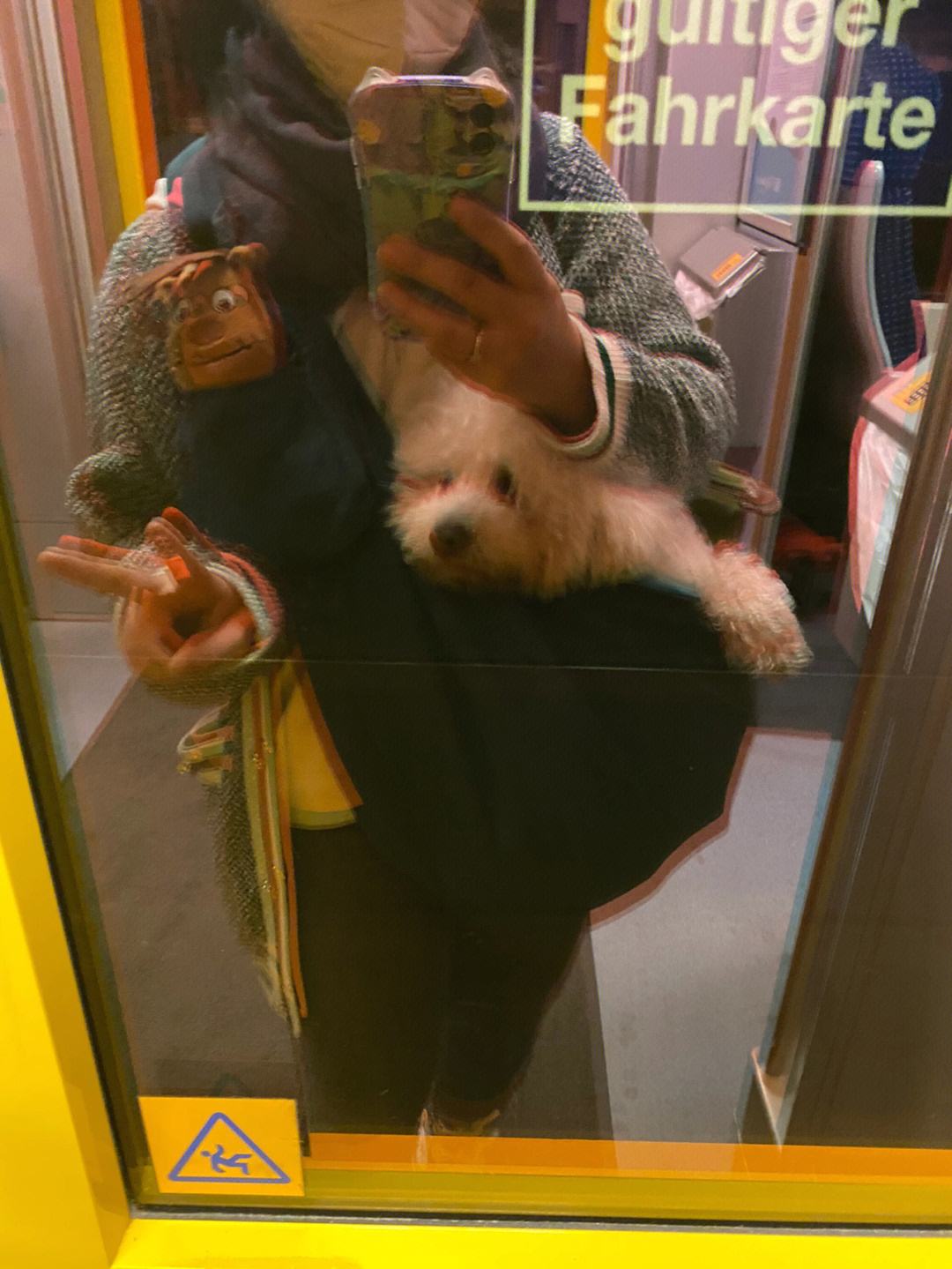 坐火车能带宠物狗吗-坐火车能带宠物狗吗多少钱