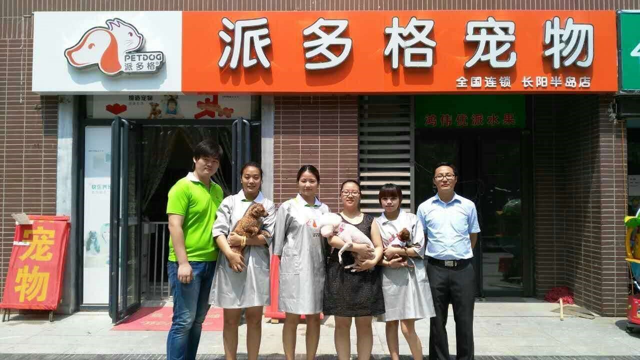 宠物店加盟首选派多格-宠物店加盟派多格和圣宠哪家好