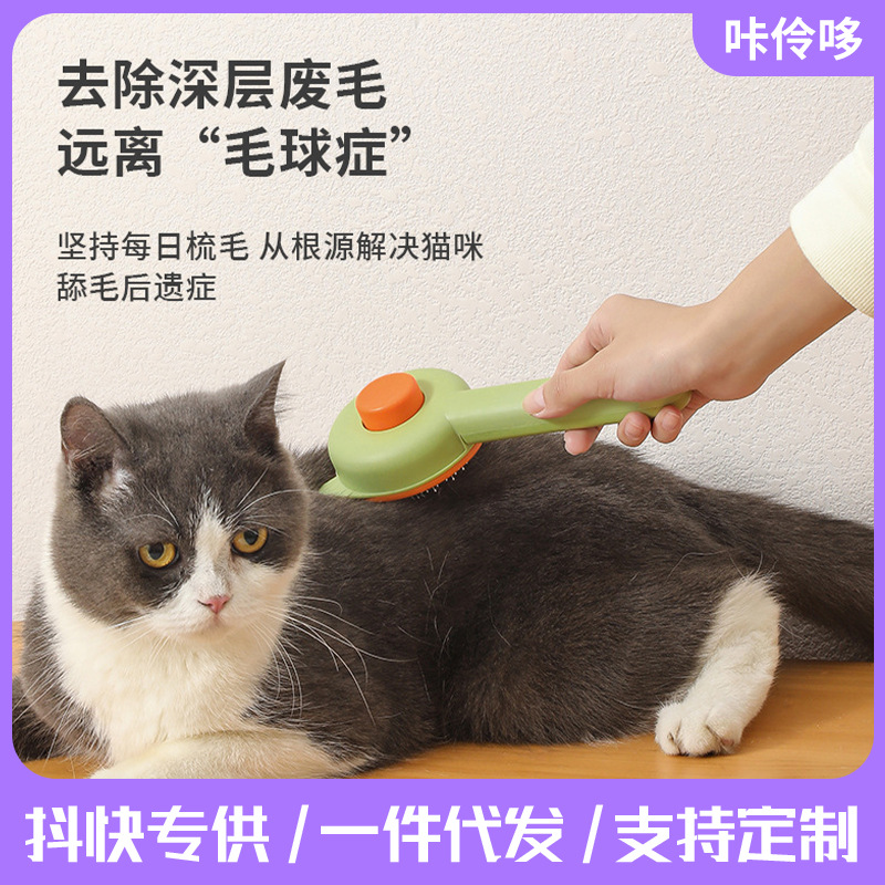 宠物猫咪用品