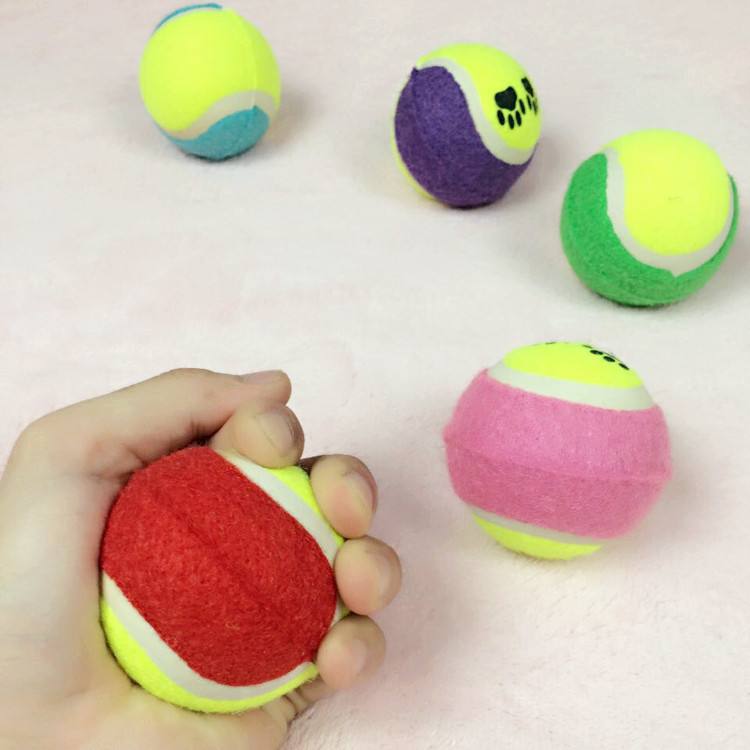 宠物玩具弹力球-宠物玩具弹力球怎么玩