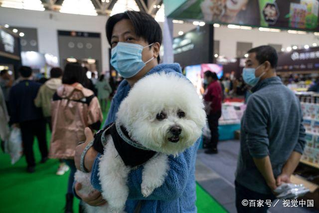 西安卖宠物的地方-西安有一个卖宠物一条街