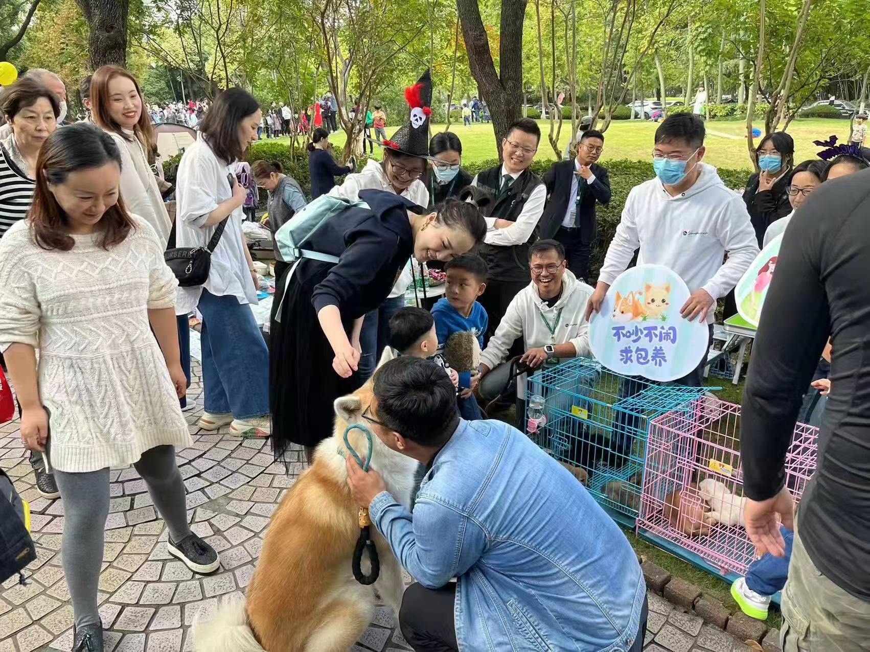 珠海宠物领养中心