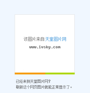 爱宠物狗狗