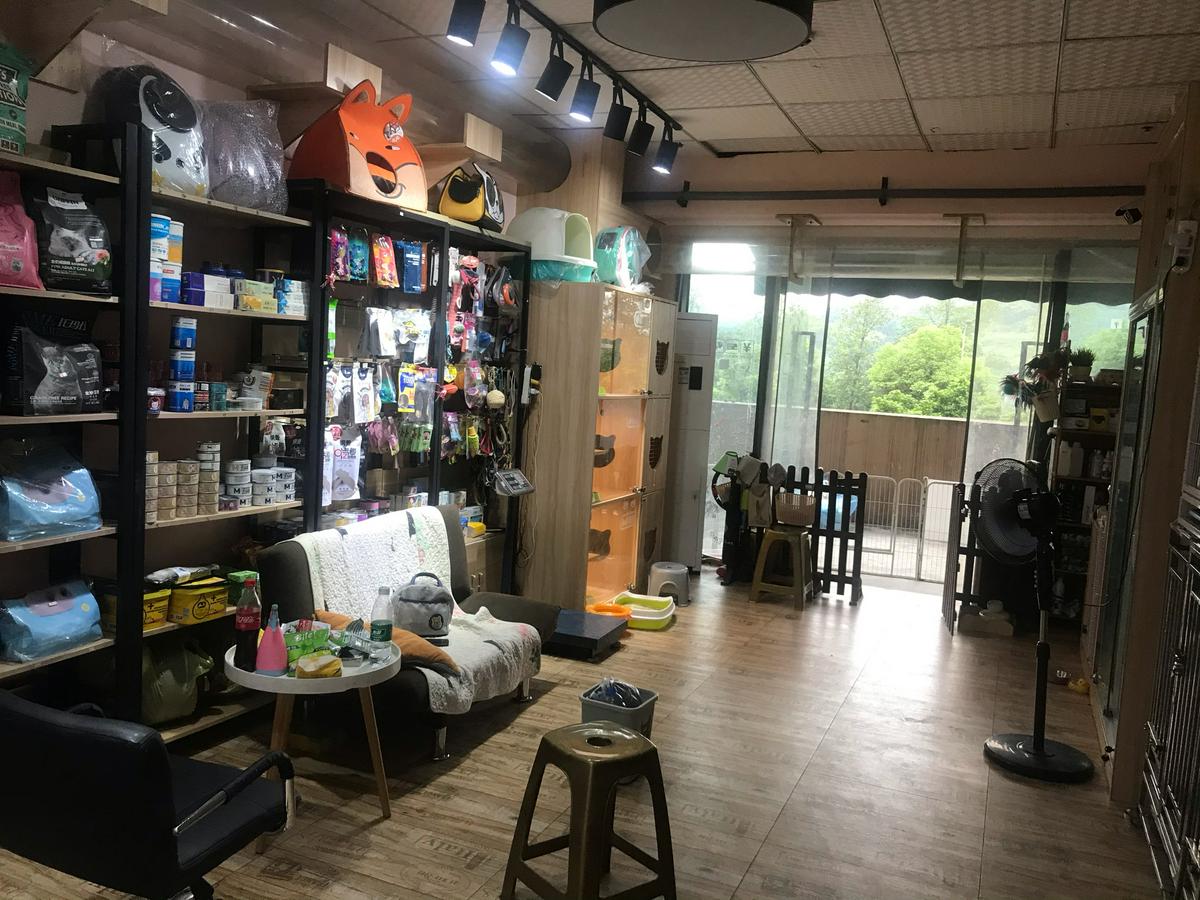 重庆宠物店卖宠物-重庆宠物店卖宠物猫吗