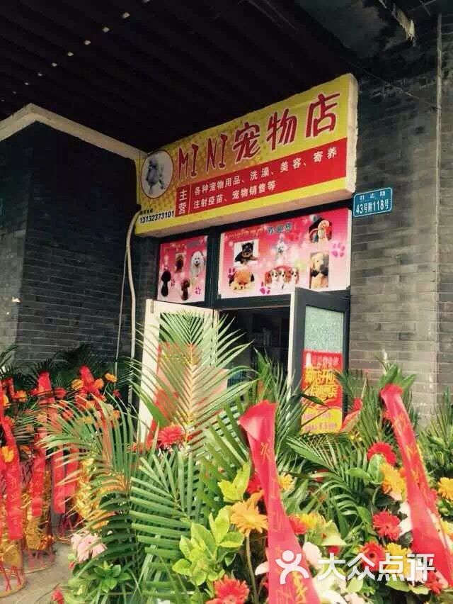 在重庆开宠物店-重庆开宠物店办狗证