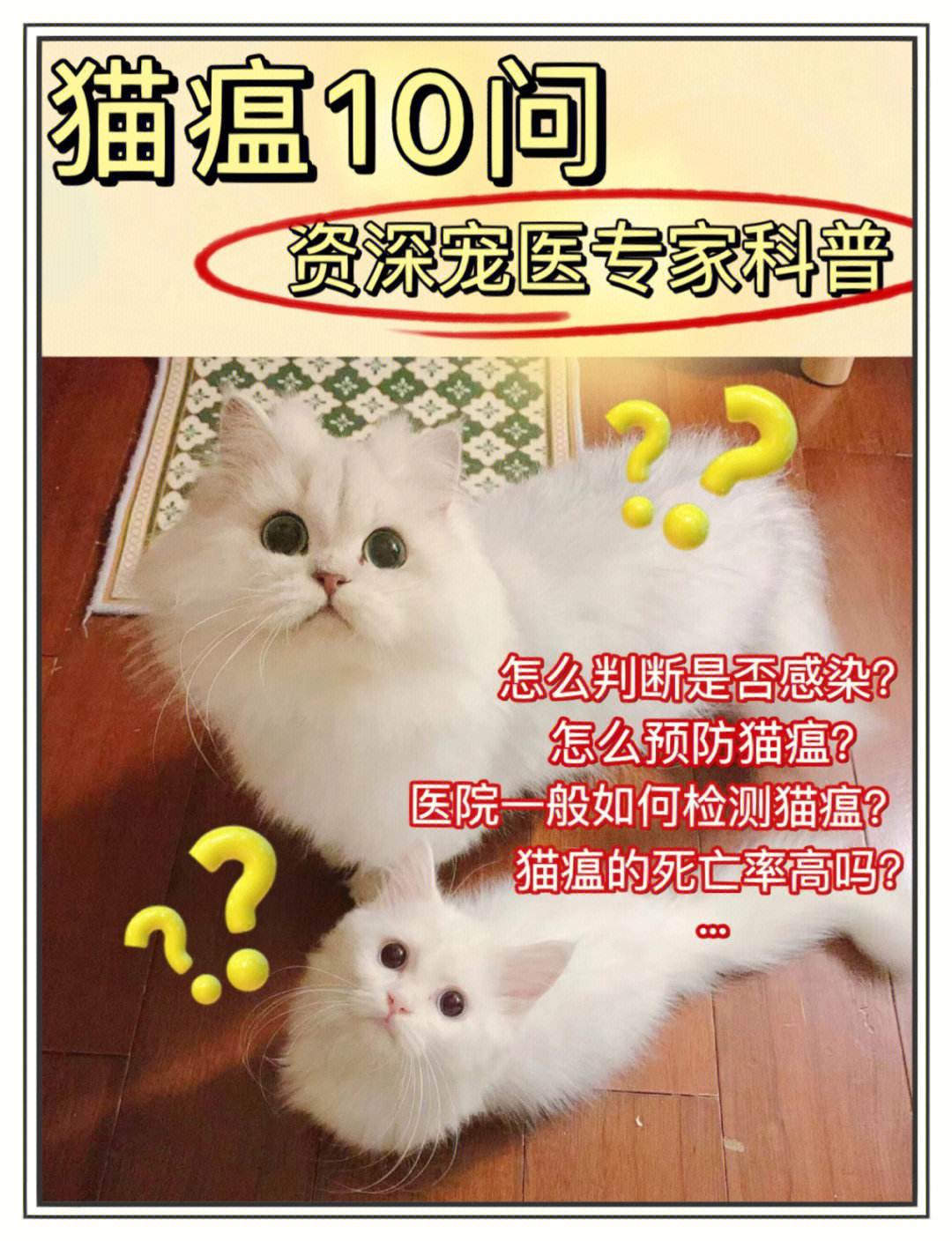 猫瘟会传染给狗吗-猫瘟在人身上会残留多久