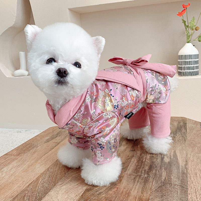 宠物博美犬衣服