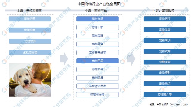 中国宠物注册-宠物注册证号码是什么