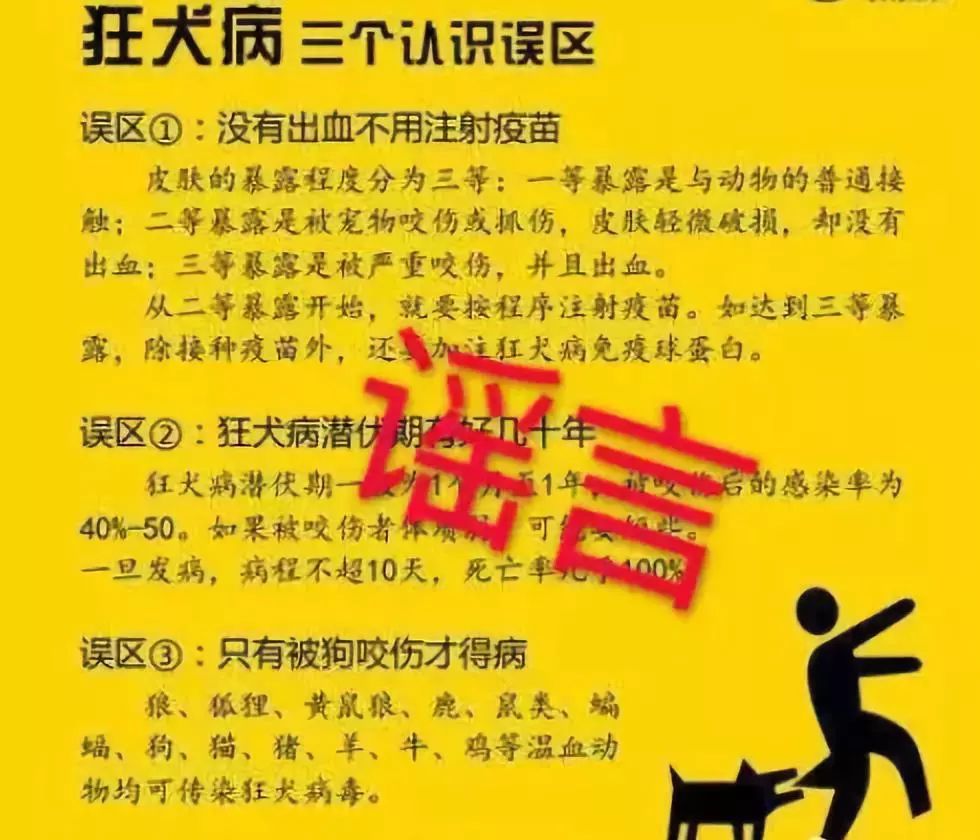 猫狂犬病症状