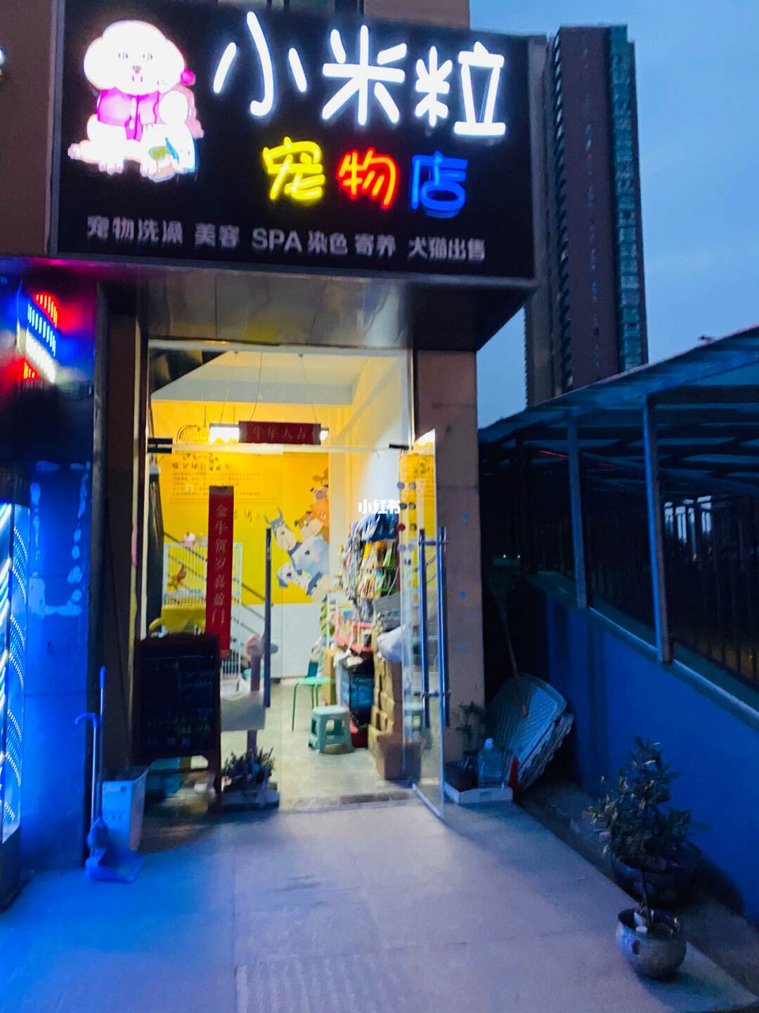 哈尔滨卖宠物店