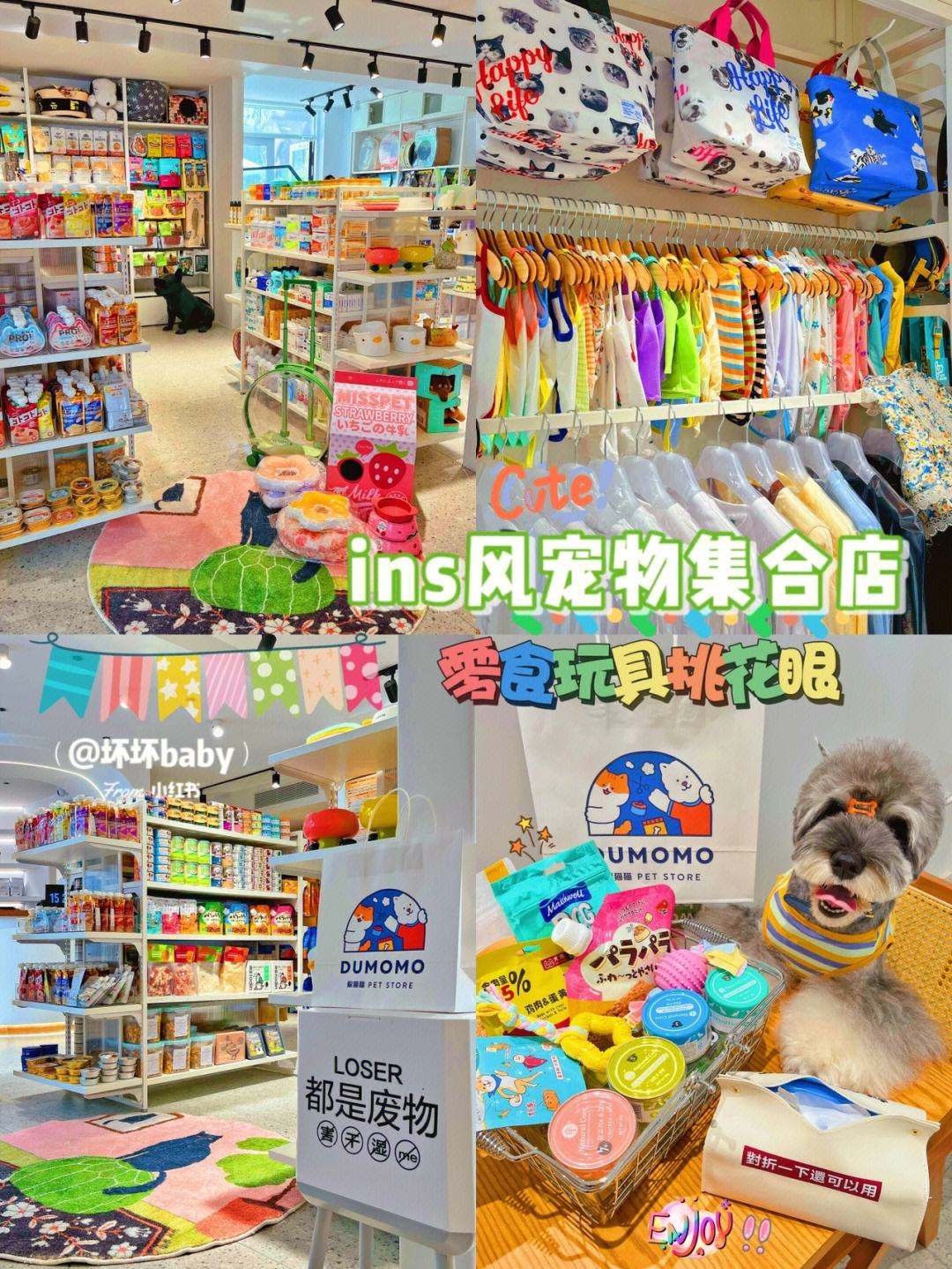 哈尔滨有宠物基地吗-哈尔滨宠物店哈尔滨宠物服务信息