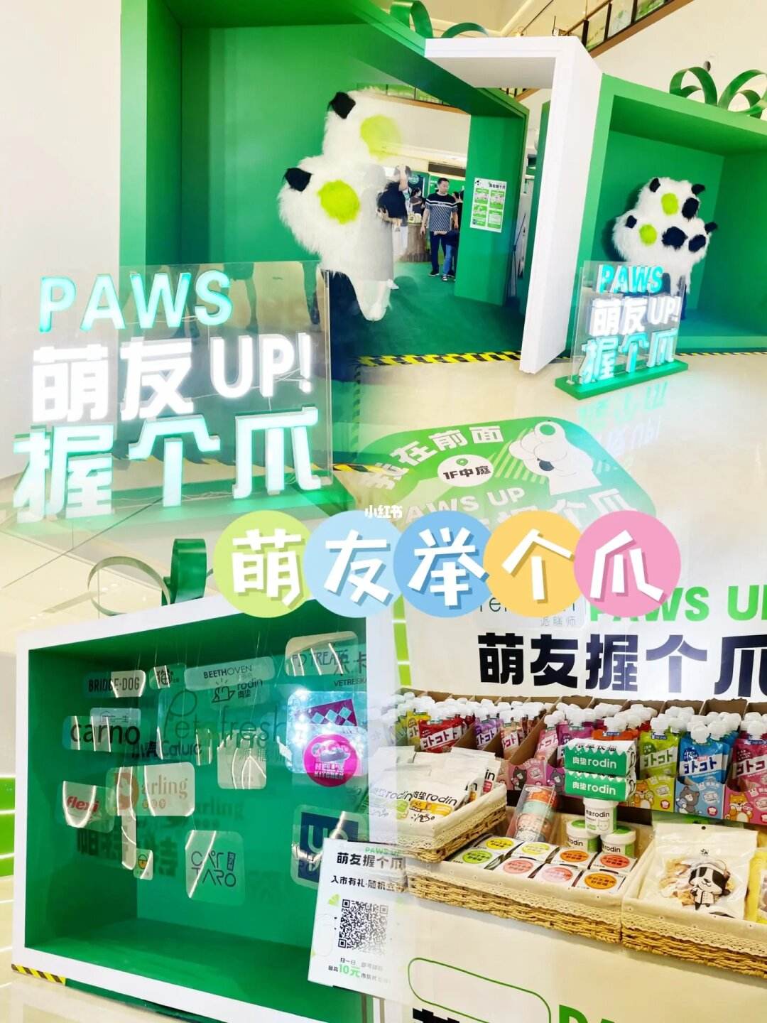 沈阳大型宠物用品店-沈阳宠物用品市场搬到啥地方了