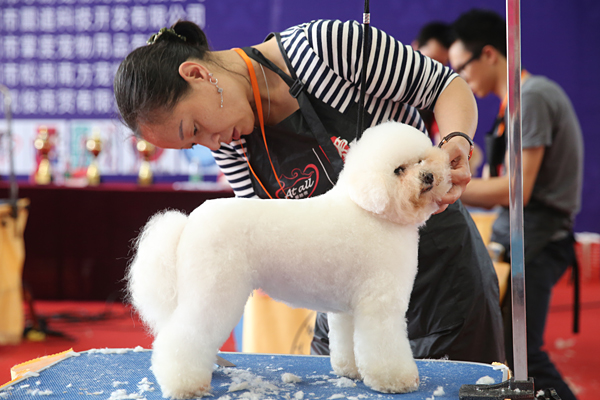 上海宠物犬博览会