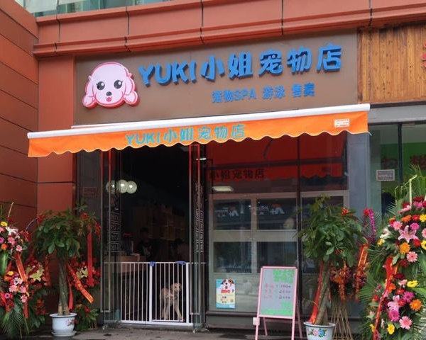 开宠物商店