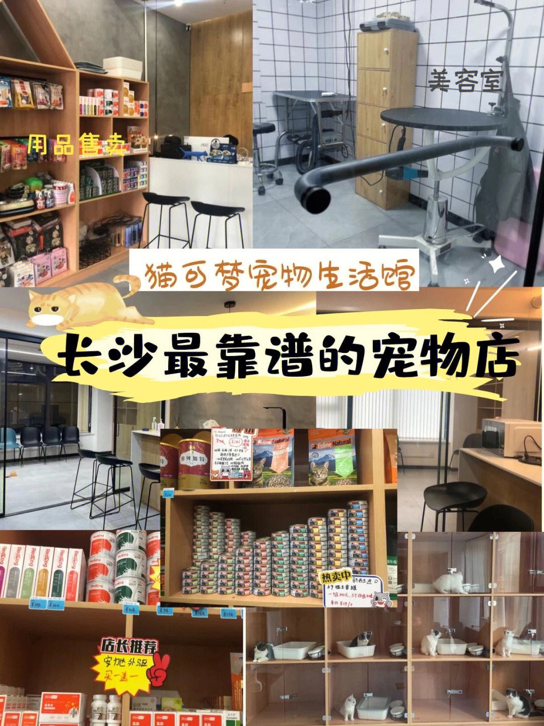 本溪靠谱的宠物店